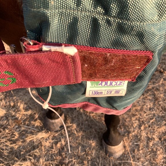 Bucas Ireland Turnout Rain Sheet Blanket [Horse Tack] - Picture 4 of 8